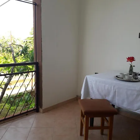 Apartment Ana Novi V. -