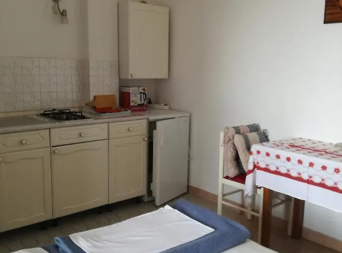 Ana Novi V. - 노비비노돌스키