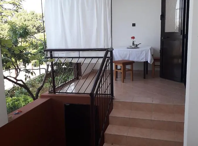 Ana Novi V. - 노비비노돌스키