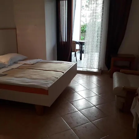 Ana Novi V. - *