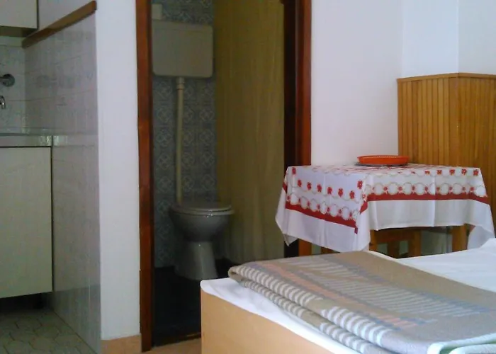 Apartman Ana Novi V. - *