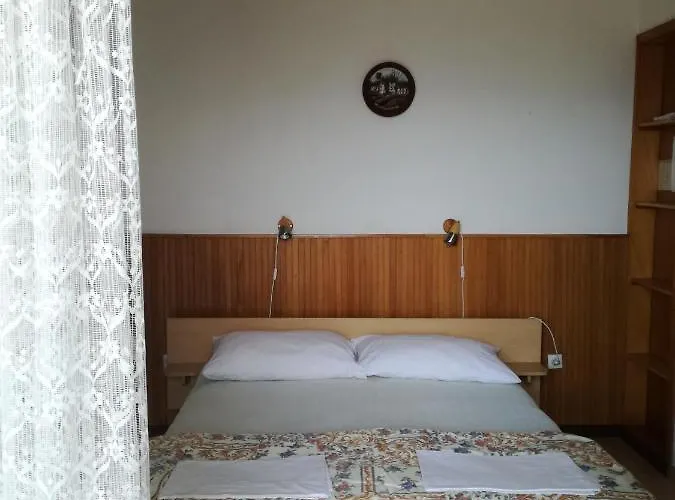 Apartman Ana Novi V. - *