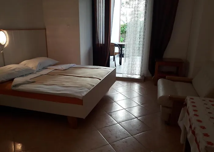 Ana Novi V. - *
