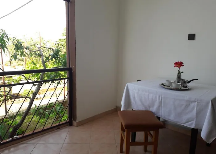 Apartman Ana Novi V. -